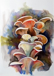 Carnival Fungus