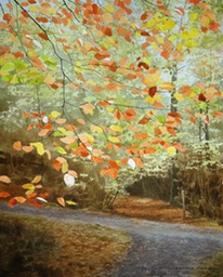 McKean 64 -  Autumn leaves at a crossing of paths, in Garrie's Wood